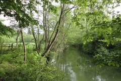 Beignée (2)