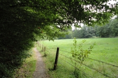 Beignée-sentier de la prairie