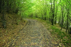 Cerfontaine