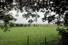 Cerfontaine