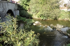 Ham-sur-Heure (2)
