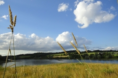Lac Eau d'Heure