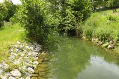 Silenrieux