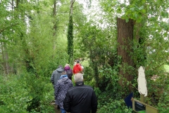 EHC04-2019-022