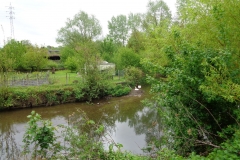 EHC04-2019-025