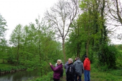 EHC04-2019-041