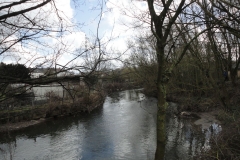 DSC05404